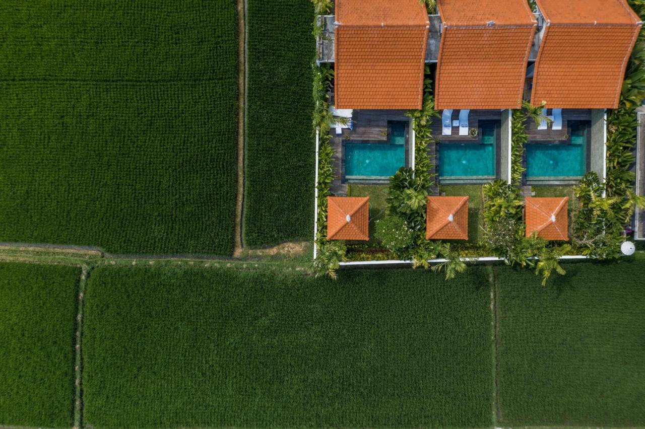 אובוד Sawah Villas מראה חיצוני תמונה